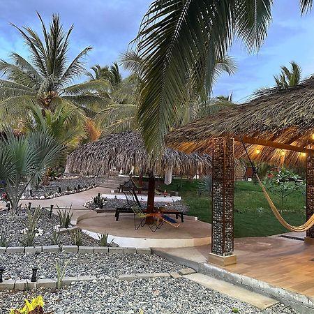 Casa Las Palmas Playa La Saladita Zihuatanejo Eksteriør billede
