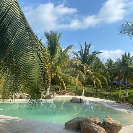 Casa Las Palmas Playa La Saladita Zihuatanejo Eksteriør billede