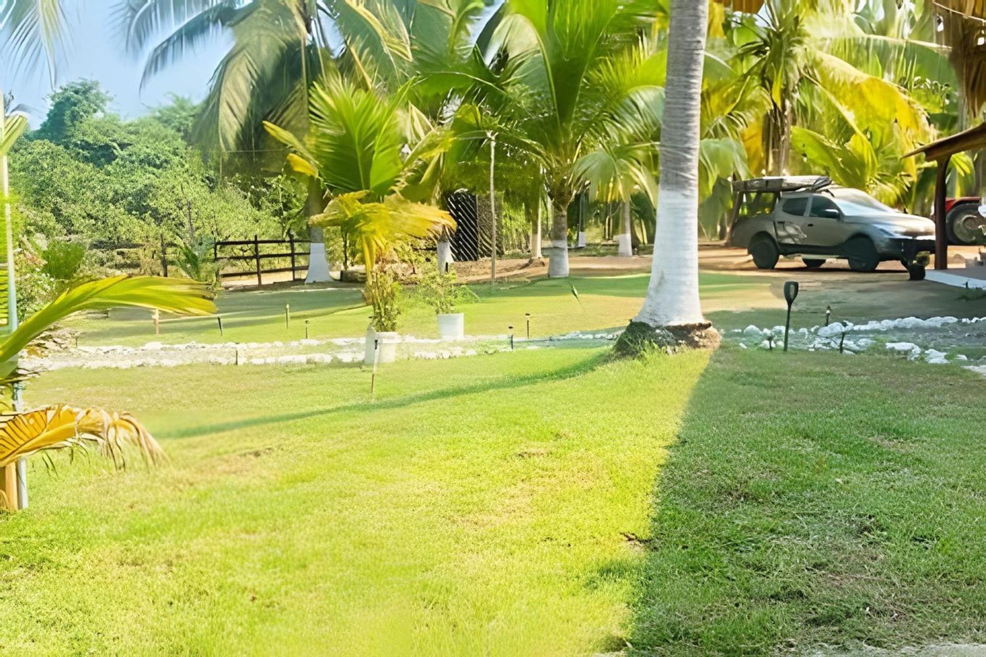 Casa Las Palmas Playa La Saladita Zihuatanejo Eksteriør billede