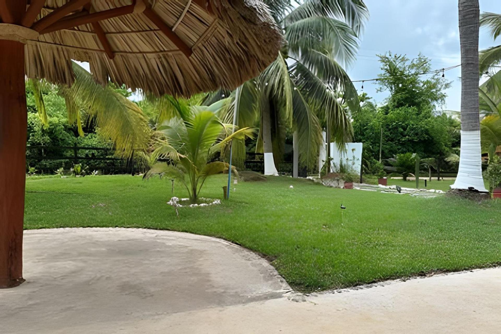 Casa Las Palmas Playa La Saladita Zihuatanejo Eksteriør billede
