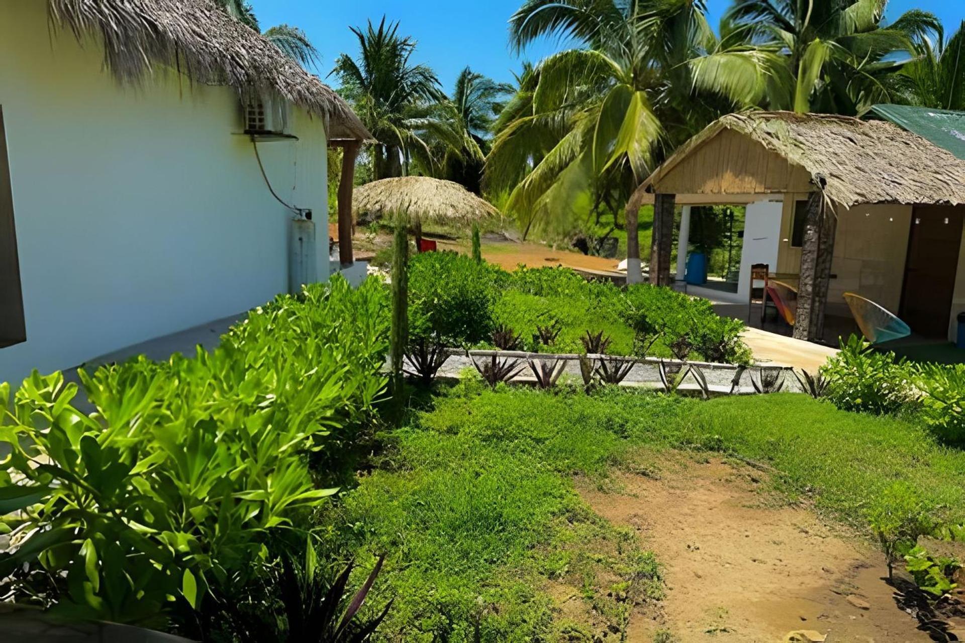 Casa Las Palmas Playa La Saladita Zihuatanejo Eksteriør billede