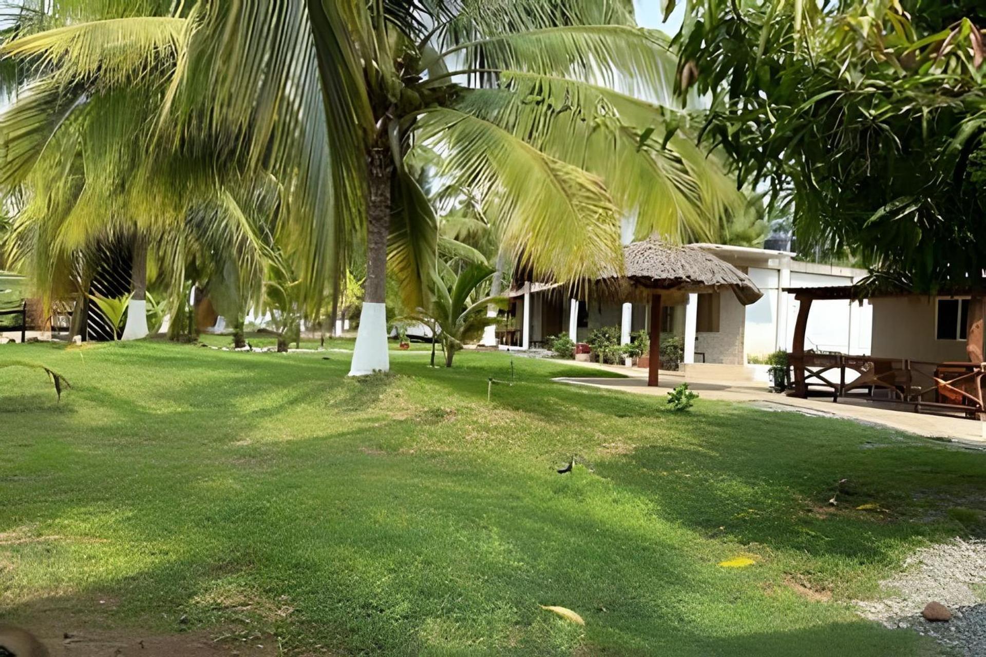 Casa Las Palmas Playa La Saladita Zihuatanejo Eksteriør billede