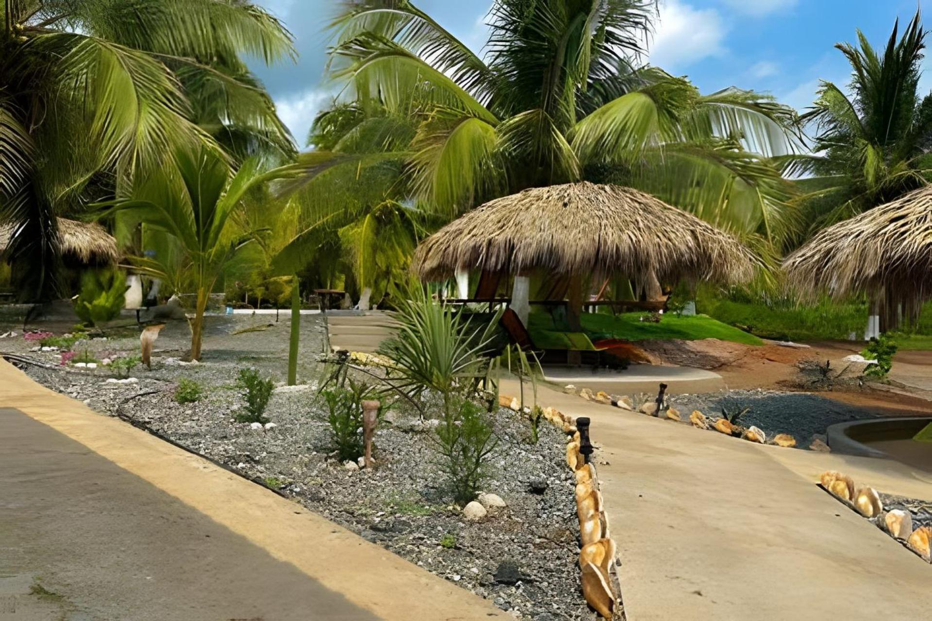 Casa Las Palmas Playa La Saladita Zihuatanejo Eksteriør billede