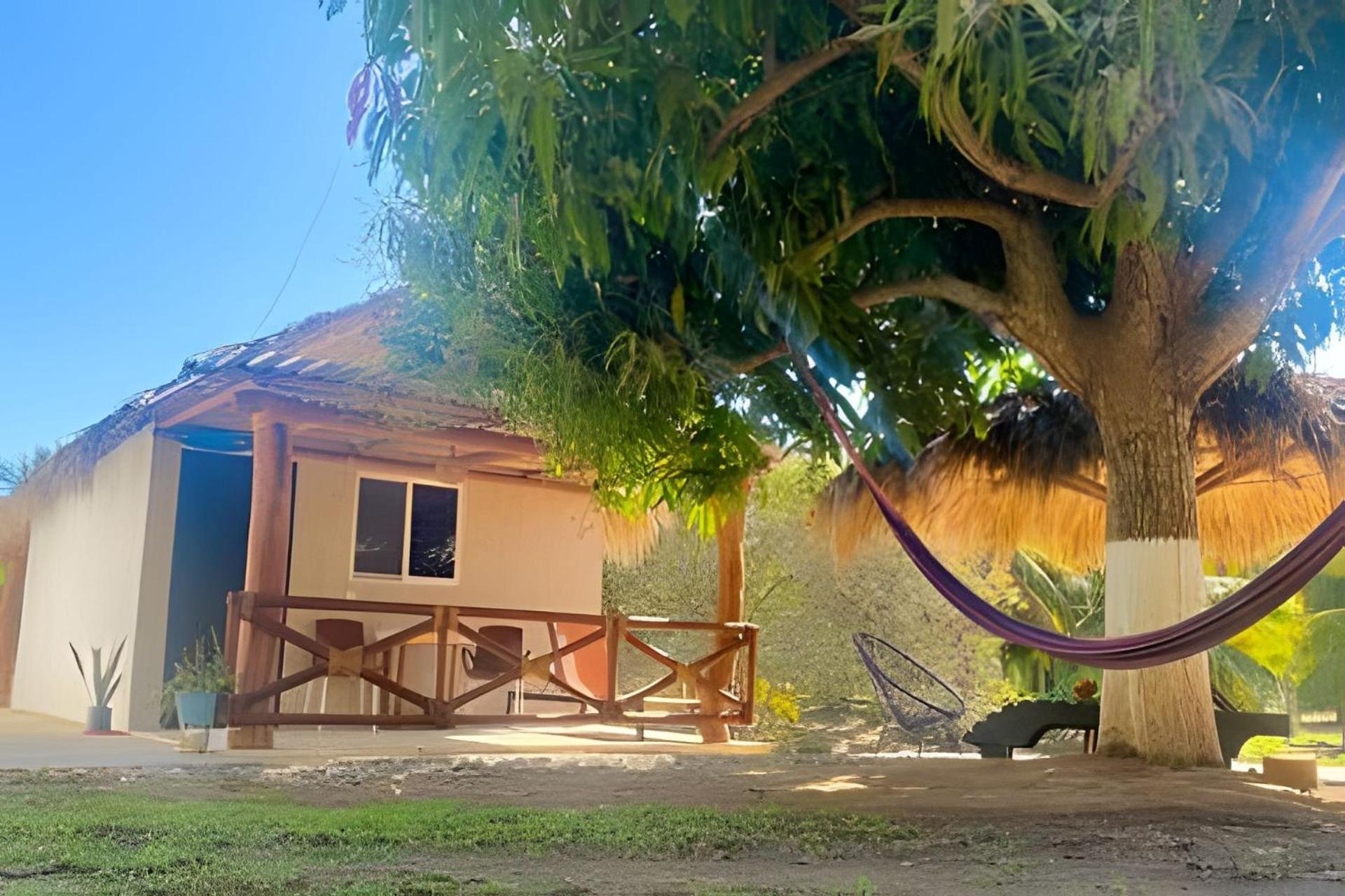 Casa Las Palmas Playa La Saladita Zihuatanejo Eksteriør billede