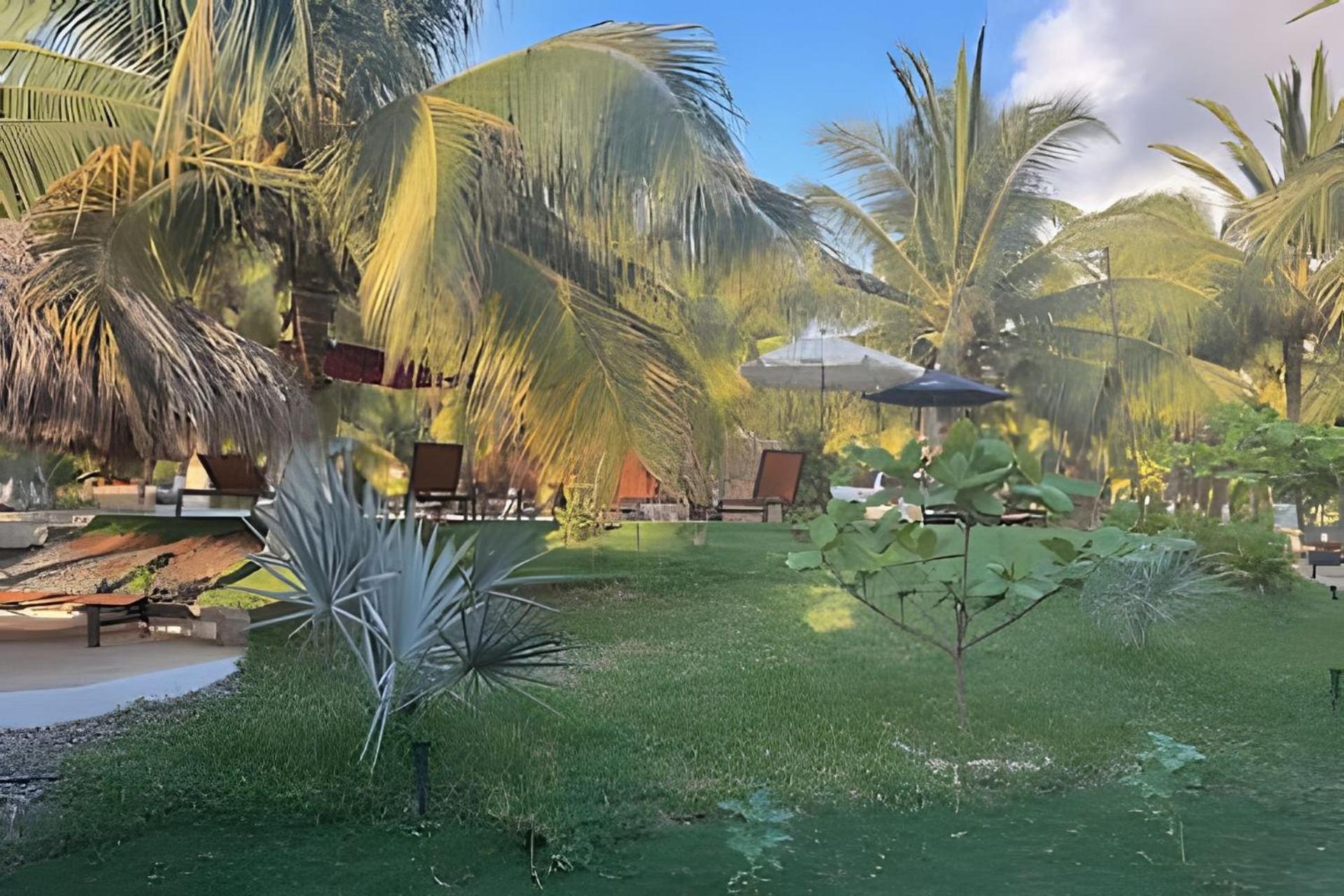 Casa Las Palmas Playa La Saladita Zihuatanejo Eksteriør billede