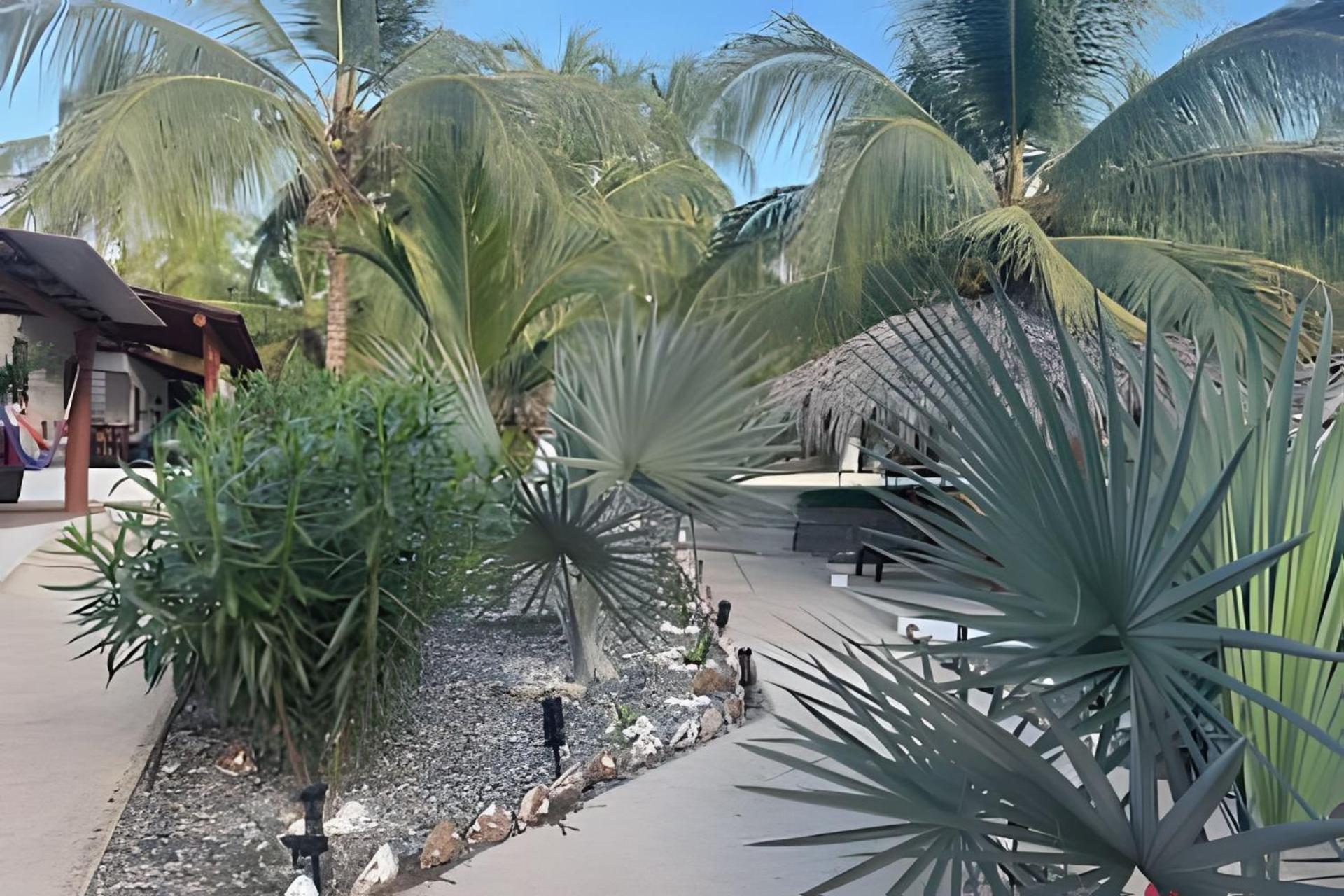 Casa Las Palmas Playa La Saladita Zihuatanejo Eksteriør billede