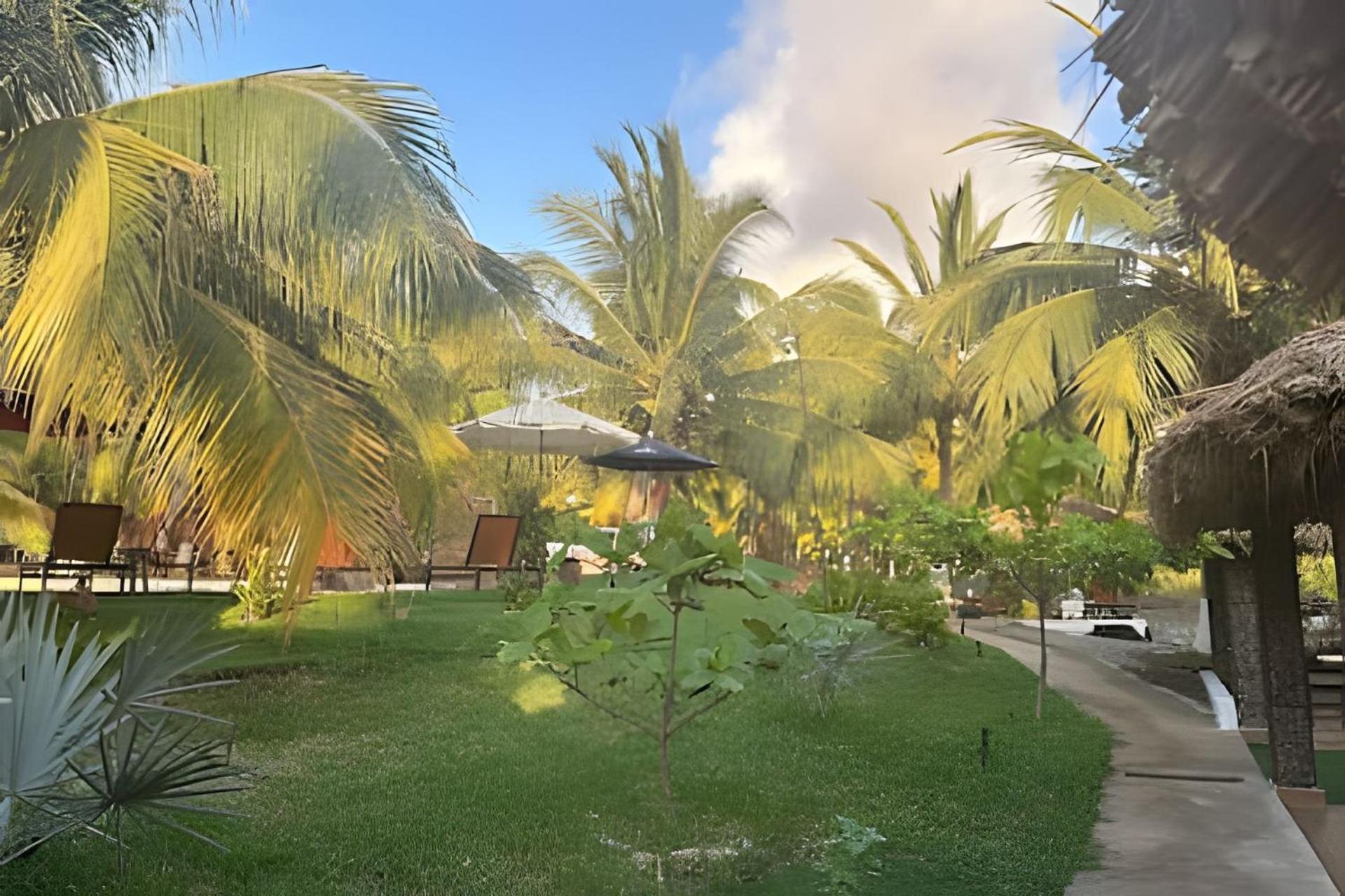 Casa Las Palmas Playa La Saladita Zihuatanejo Eksteriør billede