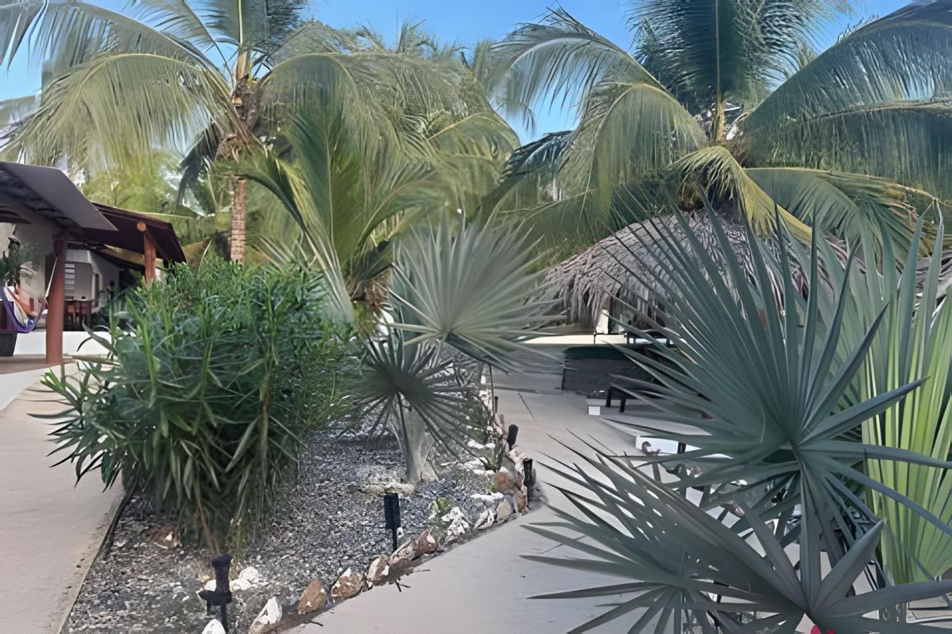 Casa Las Palmas Playa La Saladita Zihuatanejo Eksteriør billede