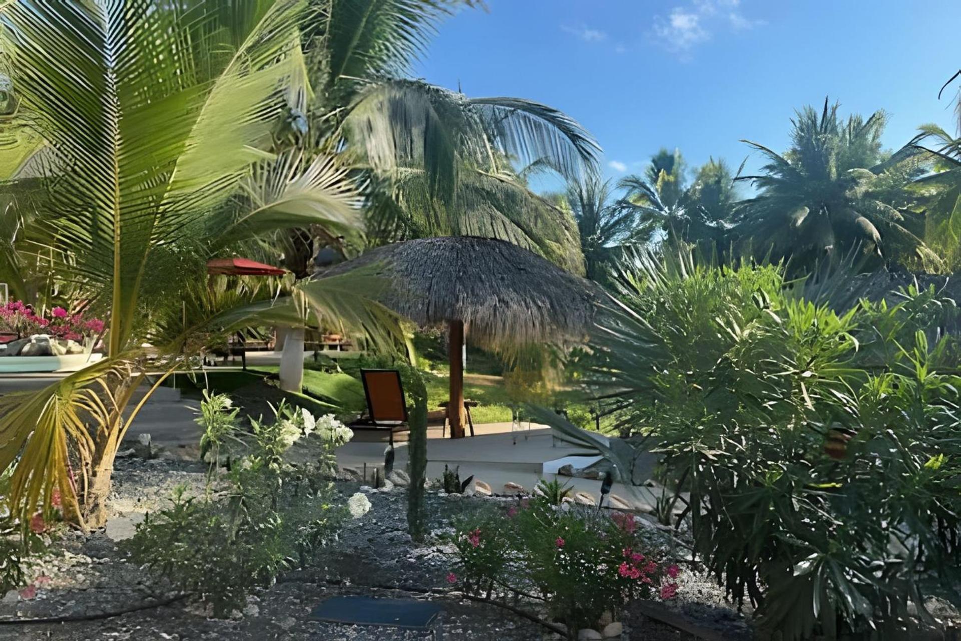 Casa Las Palmas Playa La Saladita Zihuatanejo Eksteriør billede
