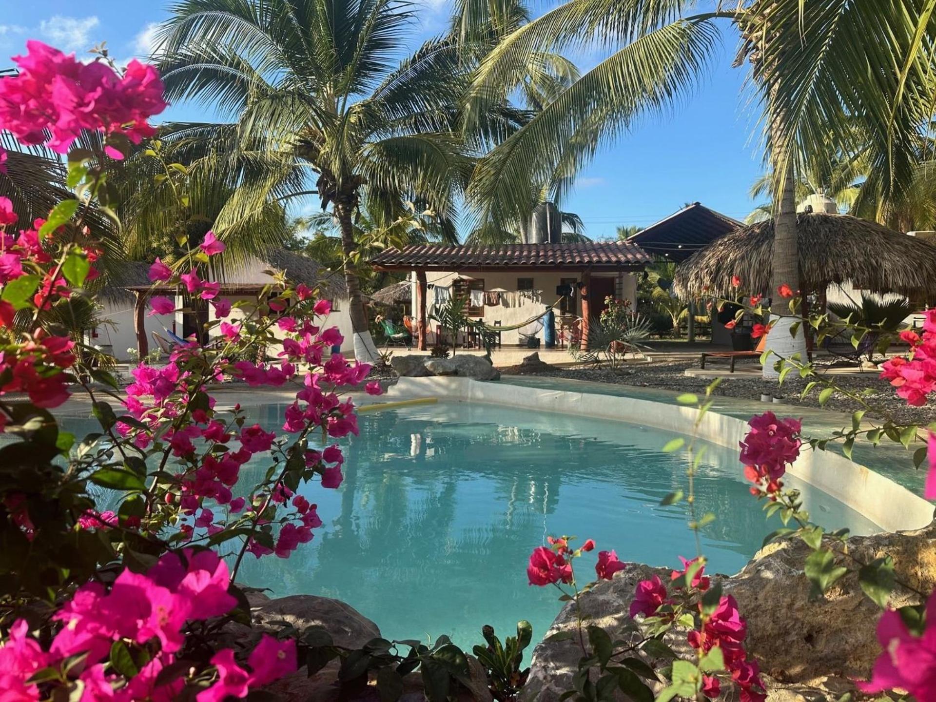 Casa Las Palmas Playa La Saladita Zihuatanejo Eksteriør billede