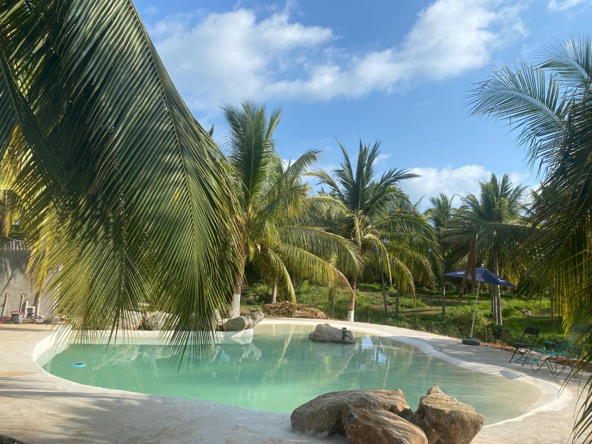 Casa Las Palmas Playa La Saladita Zihuatanejo Eksteriør billede